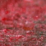 Red rain kerala