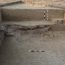 Remnants Of Harappan Period House Found In Uttar Pradesh