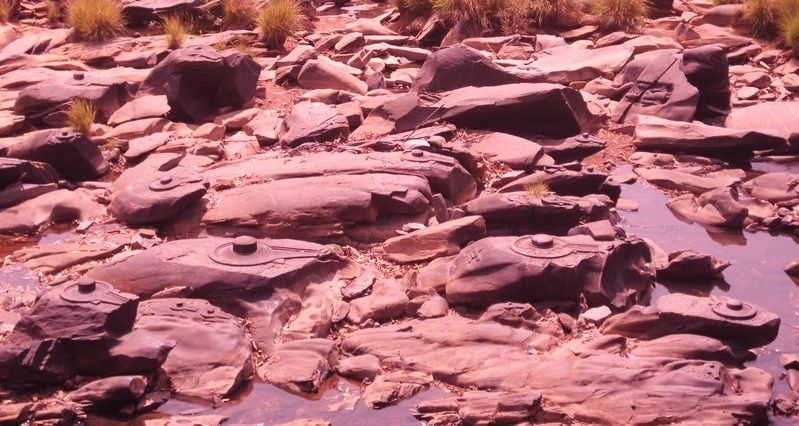 Countless Rock Carved Shiva Lingas of Sahasralinga