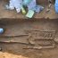 four Human Skeletons found in Rakhigarhi, Harappan site in Haryana