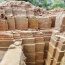 1000-year-old Hindu temple excavated in Dinajpur