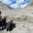 Over 10,500 years old camping site discovered by ASI in Ladakh