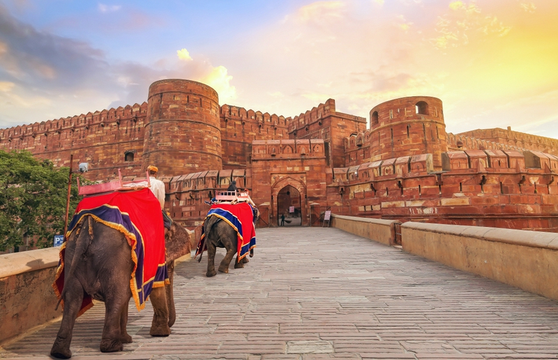 Agra Fort at sunrise with view of tourist enjoying elephant ride along the main entrance. Agra Fort is a UNESCO World Heritage site