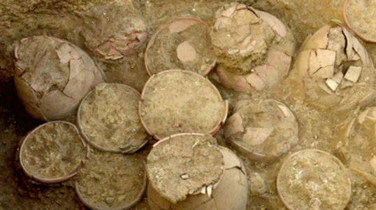 Burial Site Predating Dholavira Excavated In India's Kutch