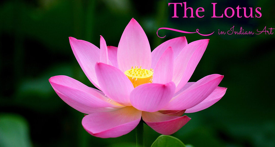The lotus in Indian Art