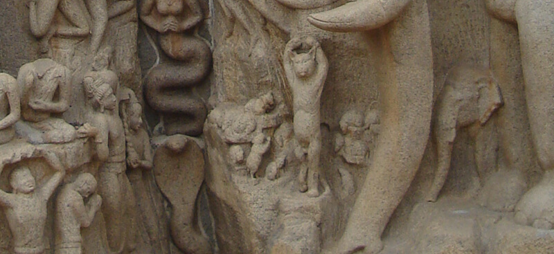 Cat standing on one leg (detail), Descent of the Ganges or Arjuna’s Penance, 7th-8th century, Mamallapuram, Tamil Nadu